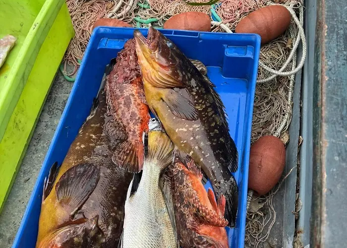 Parco Delle Agavi 4* Forio di Ischia